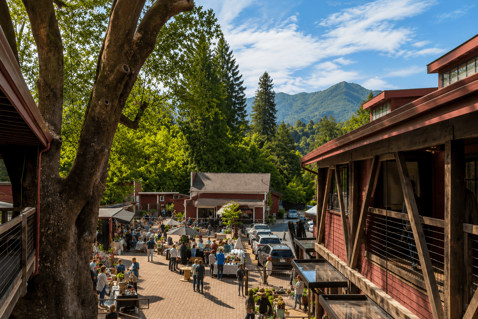 Mill Valley — Southern Marin